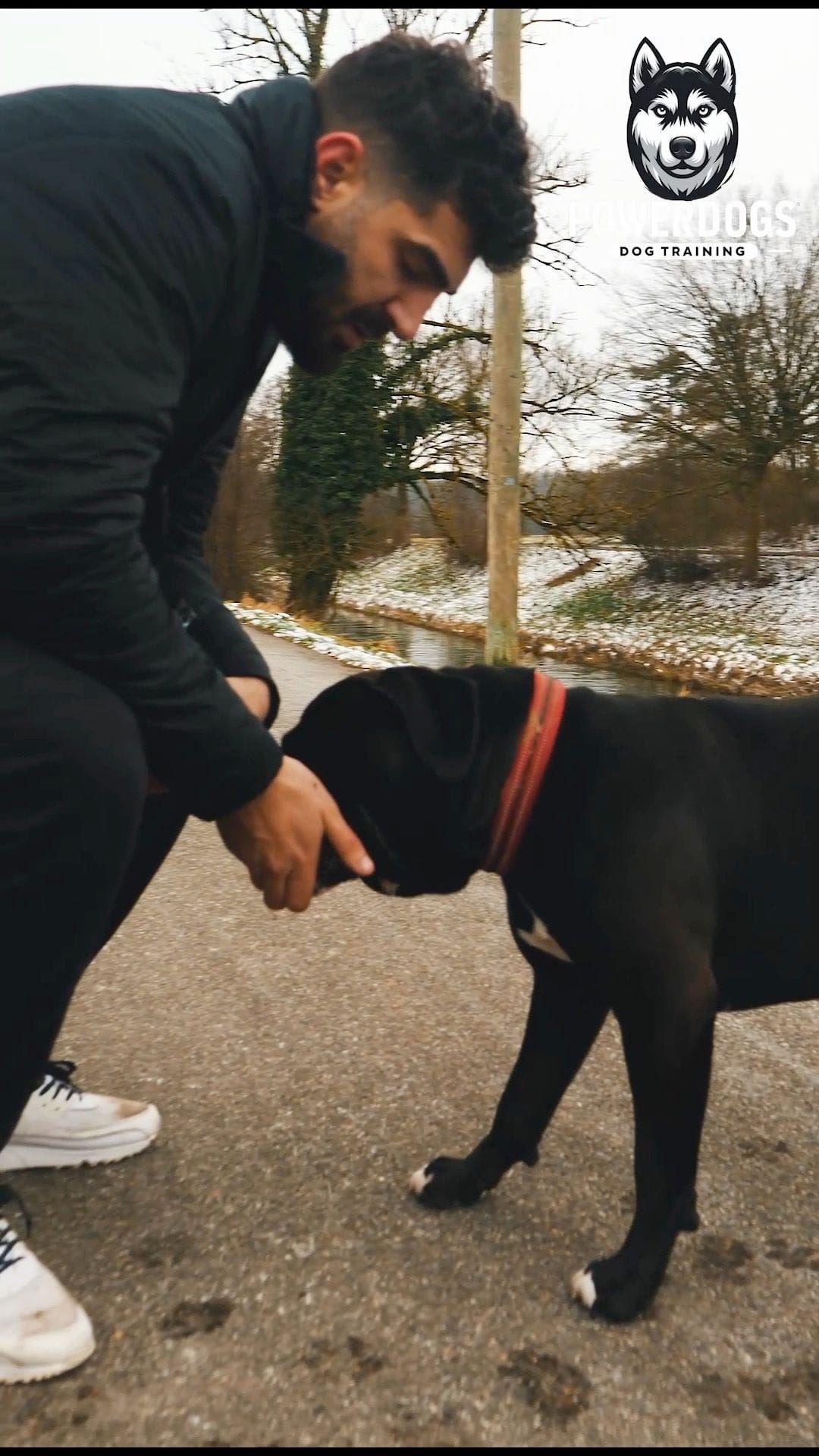 Training mit schwarzem Hund am Feldweg