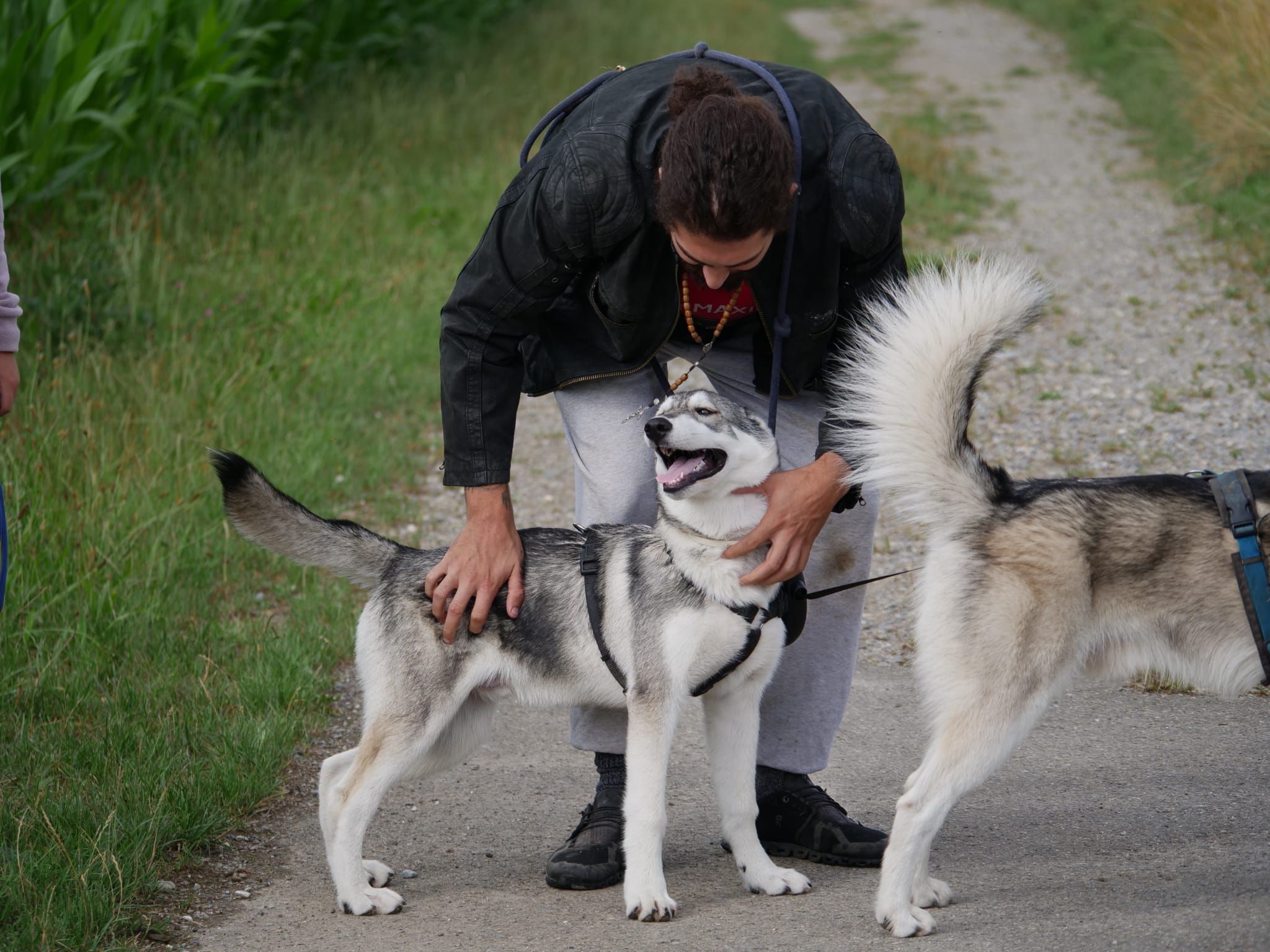 Marco mit zwei Huskys beim gemeinsamen Training auf dem Weg